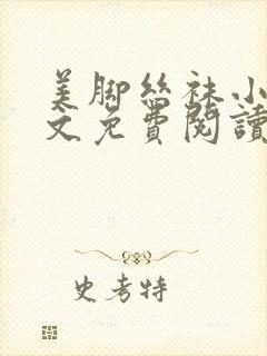 美脚丝袜小说全文免费阅读