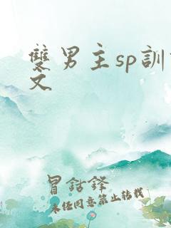 双男主sp训诫文
