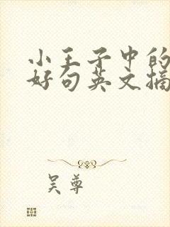 小王子中的好词好句英文摘抄加翻译