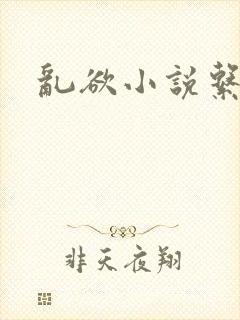 乱欲小说系列