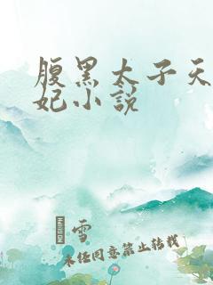 腹黑太子天降萌妃小说