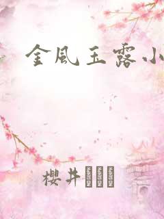 金风玉露小说免