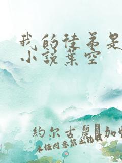 我的徒弟是女帝小说叶空