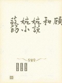 苏婉婉和顾建辰的小说