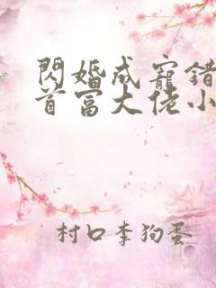 闪婚成宠错嫁了首富大佬小说