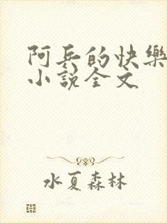 阿兵的快乐生活小说全文