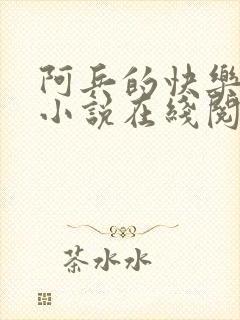 阿兵的快乐生活小说在线阅读全文