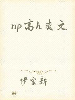 np高h爽文