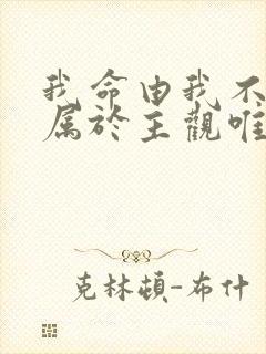 我命由我不由天属于主观唯心主义