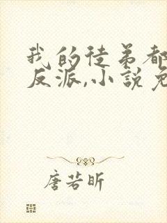 我的徒弟都是大反派,小说免费看