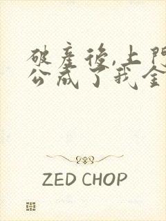 破产后,上门老公成了我金主