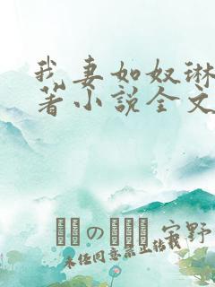 我妻如奴琳涛原著小说全文阅读