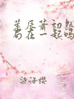 叶辰萧初然大结局在一起吗