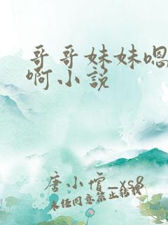 哥哥妹妹嗯嗯啊啊小说