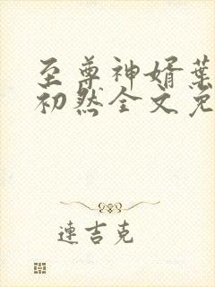 至尊神婿叶辰萧初然全文免费