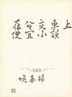 在公交车上被占便宜小说