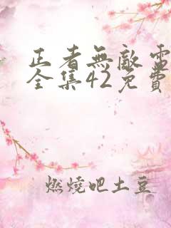 正者无敌电视剧全集42免费观看