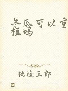 冬瓜可以重茬种植吗
