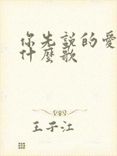 你先说的爱我是什么歌