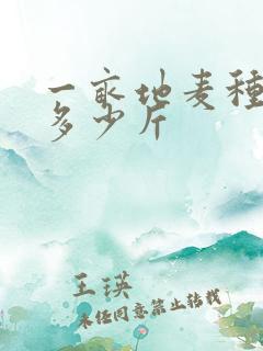 一亩地麦种大概多少斤