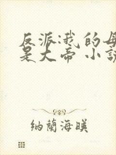 反派:我的母亲是大帝 小说