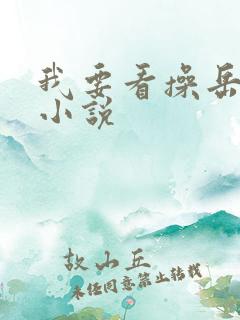 我要看操岳母的小说