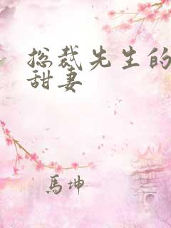 总裁先生的闪婚甜妻