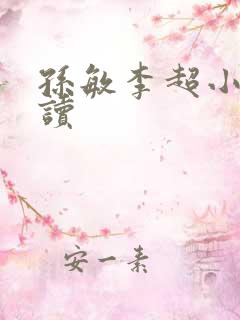 孙敏李超小说阅读