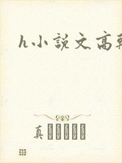 h小说文高干