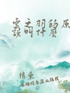 云之羽的原著小说叫什么