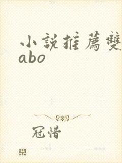 小说推荐双男主abo