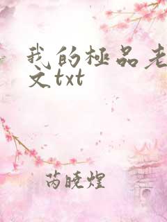 我的极品老婆全文txt