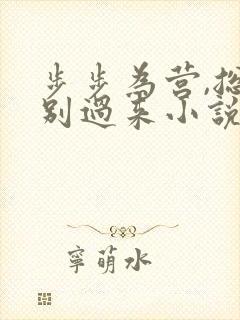步步为营,总裁别过来小说txt