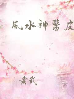 风水神医皮剑青
