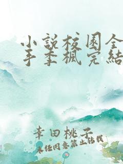小说校园全能高手季枫完结版