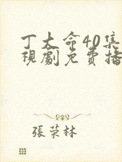 丁大命40集电视剧免费播放