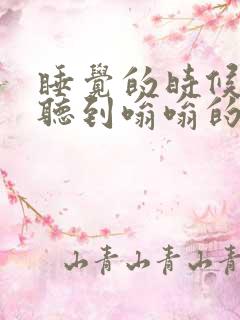 睡觉的时候老是听到嗡嗡的声音