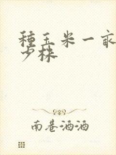 种玉米一亩地多少株