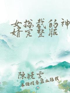 女总裁的神级女婿完整版