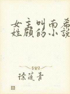 女主叫南希男主姓顾的小说