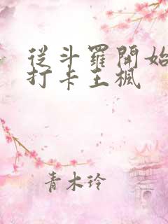 从斗罗开始签到打卡王枫
