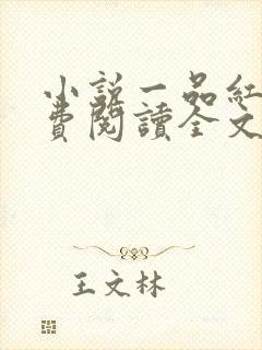 小说一品红人免费阅读全文