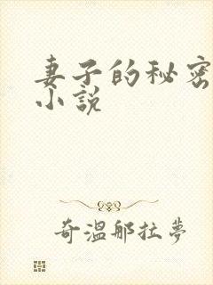 妻子的秘密小说小说