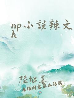 np小说辣文高h
