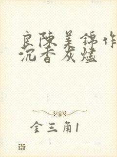 良陈美锦作者:沉香灰烬