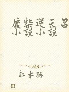 废柴逆天召唤师小说小说