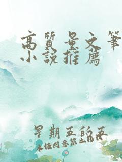 高质量文笔好的小说推荐