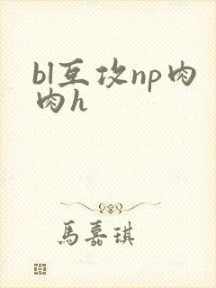 bl互攻np肉肉h