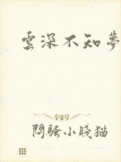 云深不知梦原著