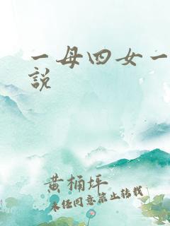 一母四女一婿小说